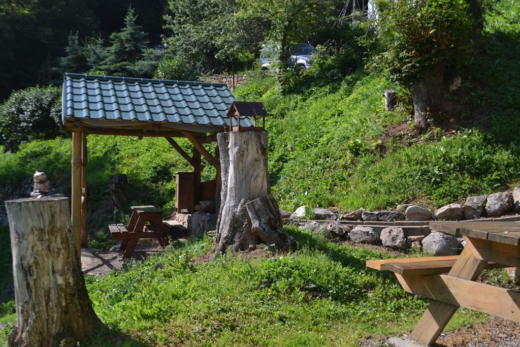 Apartmany Alma ヴィフネ エクステリア 写真